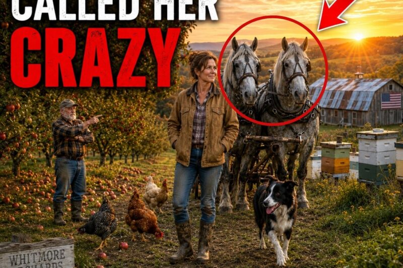 Everyone Laughed When She Brought Horses to a Dying Orchard… Then Harvest Season Came